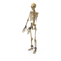 Worn Skeleton With Shackles PNG & PSD Images