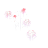 Fireworks PNG & PSD Images