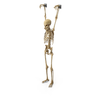 Worn Standing Skeleton With Hands Shackled To Wall PNG & PSD Images