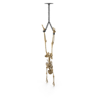 Worn Skeleton Legs Shackled To Ceiling PNG & PSD Images