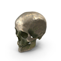 Human Skull Old Gold B PNG & PSD Images