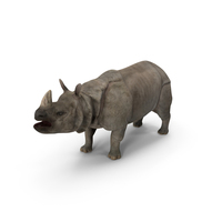 Indian Rhinoceros PNG & PSD Images