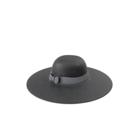Female Hat Black PNG & PSD Images