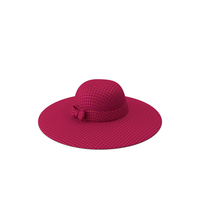 Female Hat Pink PNG & PSD Images