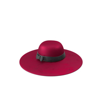 Female Hat Velvet PNG & PSD Images