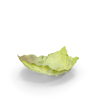 Lettuce Leaf PNG & PSD Images