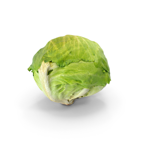 Lettuce PNG & PSD Images