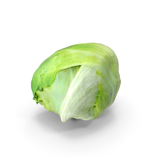 Lettuce PNG & PSD Images