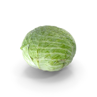 Cabbage With Wrap PNG & PSD Images