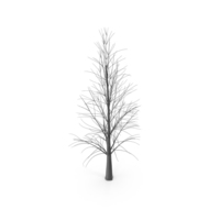 Black Tree With No Leaves PNG & PSD Images