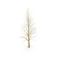Golden Tree With No Leaves PNG & PSD Images