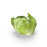 Lettuce Open PNG & PSD Images