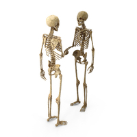 Two Worn Skeletons Shake Hands PNG & PSD Images
