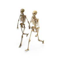 Two Worn Skeletons Holding Hands PNG & PSD Images