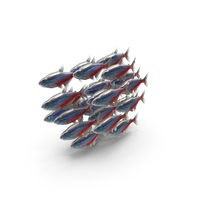 Cardinal Tetra Shoal PNG & PSD Images