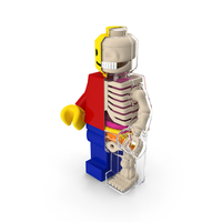 Anatomical LEGO Man Glass Half PNG & PSD Images