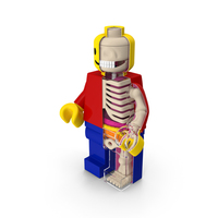 Anatomical LEGO Man Transparent PNG & PSD Images