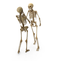 Two Worn Skeletons Threatening Intimidated PNG & PSD Images