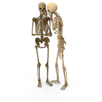 Two Worn Skeletons Whisper A Secret PNG & PSD Images