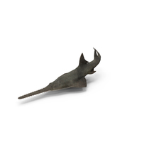 Sawfish PNG & PSD Images
