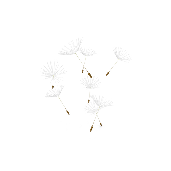 Dandelion Seeds Floating In The Air PNG & PSD Images