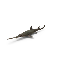 Saw Shark PNG & PSD Images