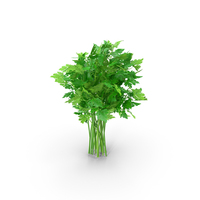 Parsley Bunch PNG & PSD Images