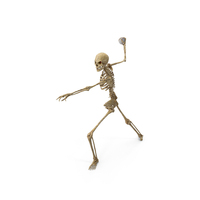 Worn Skeleton Throwing A Baseball PNG & PSD Images