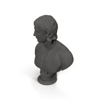 Young Man Stone Bust PNG & PSD Images