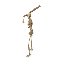 Worn Skeleton Preparing to Strike with Baseball Bat PNG & PSD Images