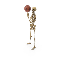 Worn Skeleton Player Finger Spinning Basketball PNG & PSD Images