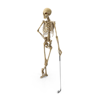 Worn Skeleton Golfer PNG & PSD Images