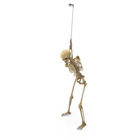 Worn Skeleton Golf Player Swinging PNG & PSD Images