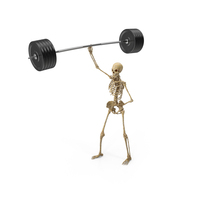 Worn Skeleton Barbel Weight Lifting Show Off PNG & PSD Images