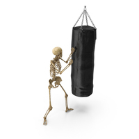 Worn Skeleton Training With Punching Bag PNG & PSD Images