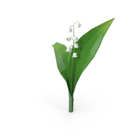 Cartoon Lily Of The Valley PNG & PSD Images