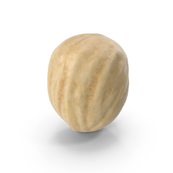 Hazelnut PNG & PSD Images
