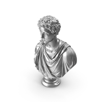 Young Marcus Aurelius Metal PNG & PSD Images