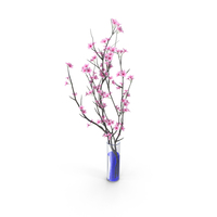 Sakura Branch In Vase PNG & PSD Images