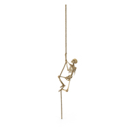 Worn Skeleton Climbing A Rope PNG & PSD Images