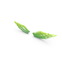Green Wings PNG & PSD Images