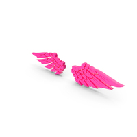Pink Wings PNG & PSD Images