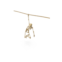 Worn Skeleton Holding On To A Rope PNG & PSD Images