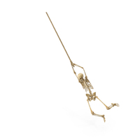Worn Skeleton Swinging On A Rope PNG & PSD Images