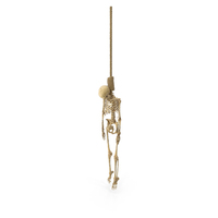 Hanged Worn Skeleton PNG & PSD Images