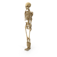 Worn Skeleton Tied Bound With Three Short Ropes PNG & PSD Images