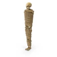 Worn Skeleton Tied With A Long Rope PNG & PSD Images