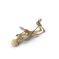 Tied Bound Skeleton Lying Down PNG & PSD Images