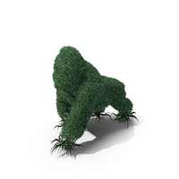 Gorilla Tree PNG & PSD Images