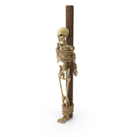 Worn Skeleton Tied To A Pole PNG & PSD Images